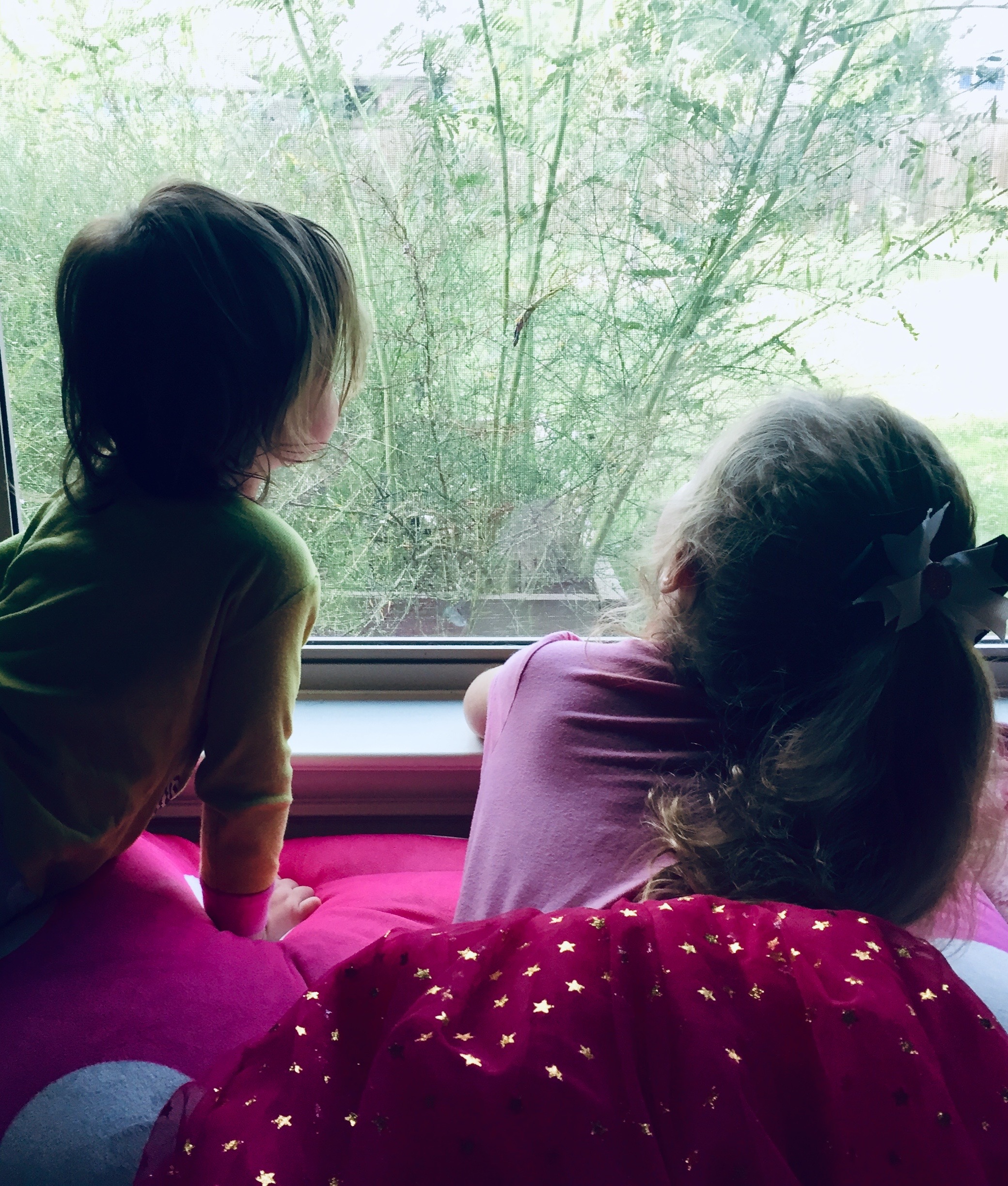 My girls watching bugs crawl on the plants